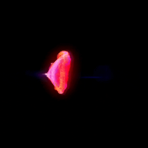 Hookah GIF by Meduza - Find & Share on GIPHY