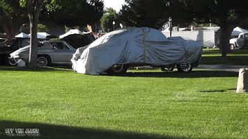 classic cars old car GIF by Off The Jacks