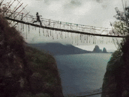 GIF by Global Brew
