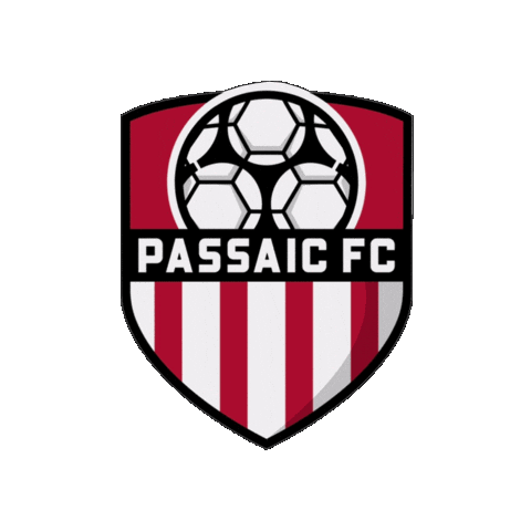 Passaic Sticker by Diaza Football