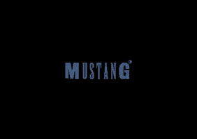 MUSTANG Jeans GIF