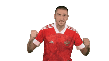 Football Celebrating Sticker by Team Russia