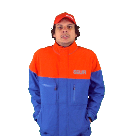 Delivery Sticker by SEUR