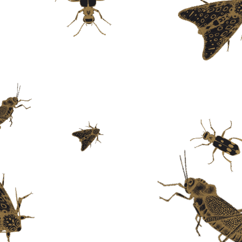 Eliane Revestimentos Sticker