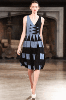 200.gif?cid=fc005b08dc5cc7fc604625e477ec8195f4543aad419072c8&rid=200.gif&ct=g