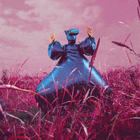 200.gif?cid=fc005b0858cca9058bc781aadc169db0d239cb8cb39d212d&rid=200.gif&ct=g