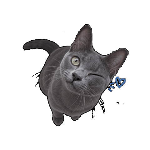 inKOTgnito Sticker