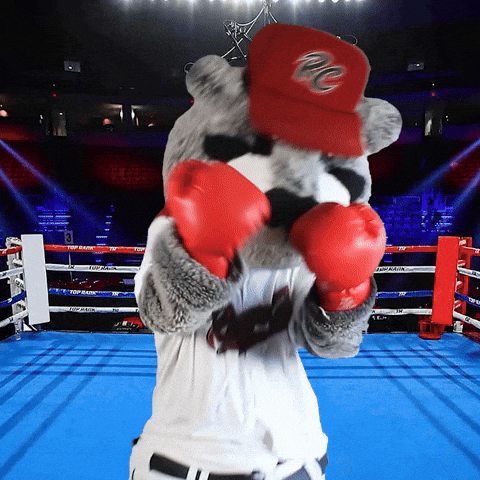 Baseball Boxing GIF by Sacramento River Cats