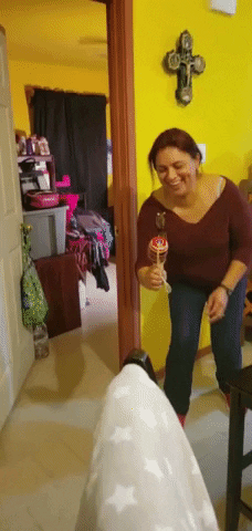 Animated GIF