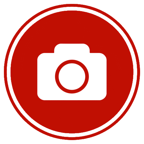 BullFotografias Sticker