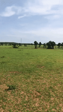 Đất Trang Trại Ở Bình Thuận GIF