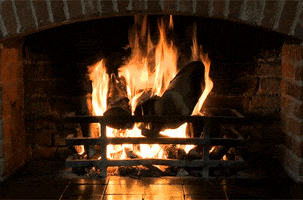yule log fire GIF