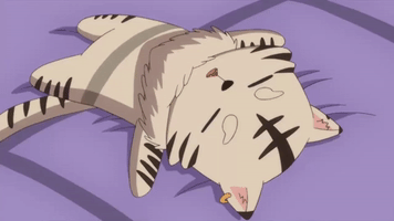 amlnz2plaziwmdfaewfob28uy29tlnr3  GIF