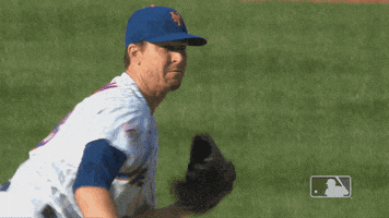Ny Mets Catch GIF by New York Mets