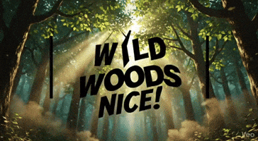 GIF by Holiday-Rental-Experts.com