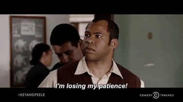 saramortensen key and peele cat poster i'm losing my patients GIF