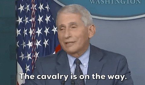 Fauci Help Is On The Way GIF by GIPHY News