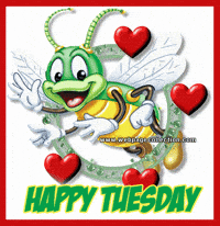 Happy Tuesday GIF by Zack Kantor - Find & Share on GIPHY Happy Tuesday GIF by Zack Kantor - Find & Share on GIPHY