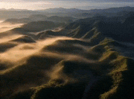 Bangladesh Airtel GIF