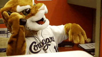 talking phone call GIF by Kane County Cougars