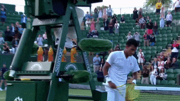 Felix Auger Aliassime Sport GIF by Tennis Channel