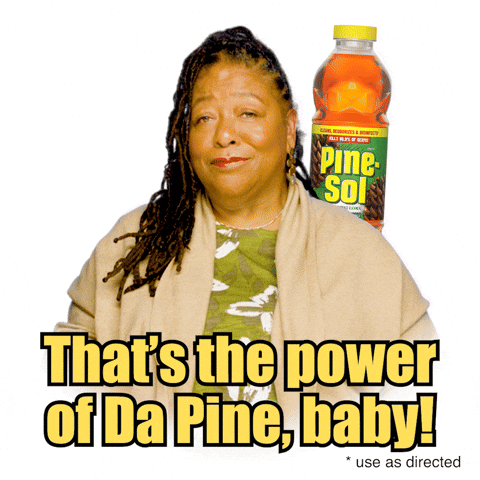 Point GIF by Pine-Sol