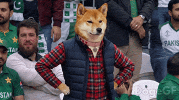 Shiba Inu Facepalm GIF by DogeGF