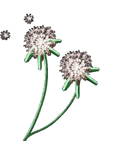 Flower Plant Sticker