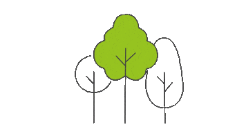 Climate Change Plant Sticker by evora_portugal