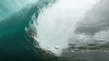 tactics  GIF
