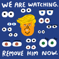 Watching Donald Trump GIF by Creative Courage