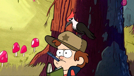 dipper pines