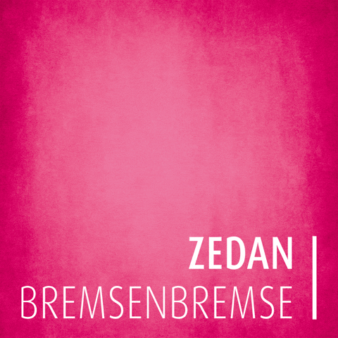 Reingeguckt Reingeschaut GIF by ZEDAN