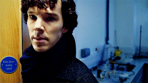 i would just like to let you all know benedict cumberbatch GIF