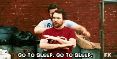 Always Sunny Go To Bed GIF