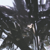 200.gif?cid=fc005b0843ac5ec6d7c64dabdad3f289500b2b2bb993e1b3&rid=200.gif&ct=g