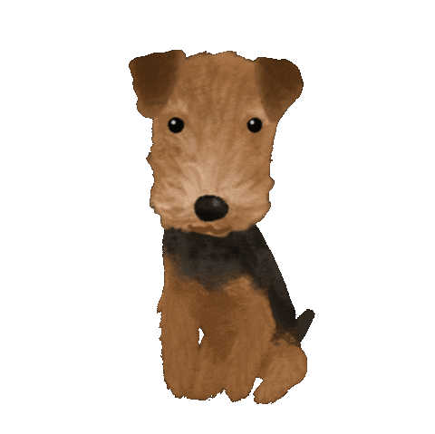 Happy Welsh Terrier Sticker by breadcrumbsclub