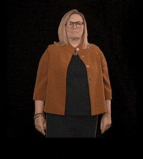 FDP Landtagsfraktion Sachsen-Anhalt GIF