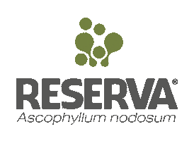 aquadobrasil Sticker