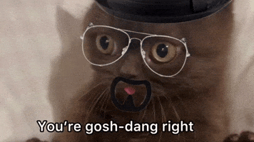 Breaking Bad Your Right GIF