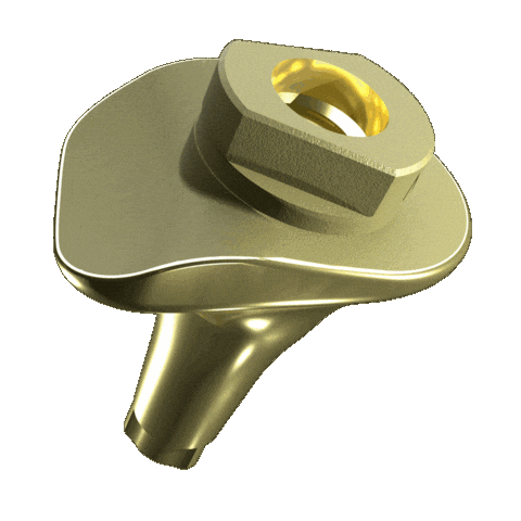 Implant Sticker by Biotech Dental