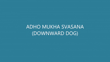 British Columbia Chiropractic Association GIF