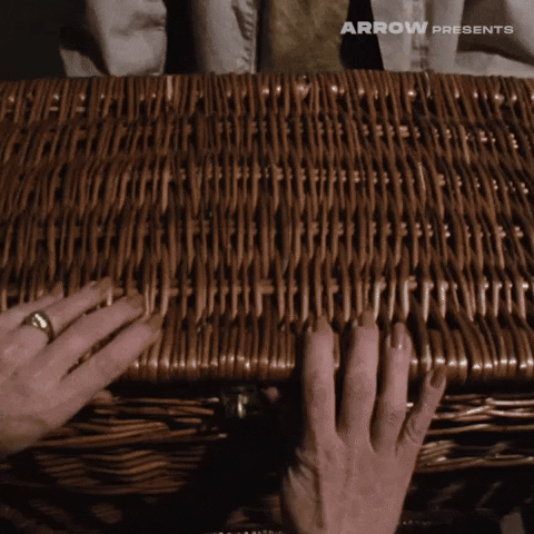 Basket Case Film GIF by Arrow Video