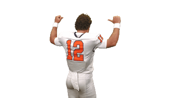 Cnfb26 Sticker by Carson-Newman Athletics