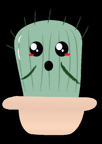 Doowdlewithcactee GIF