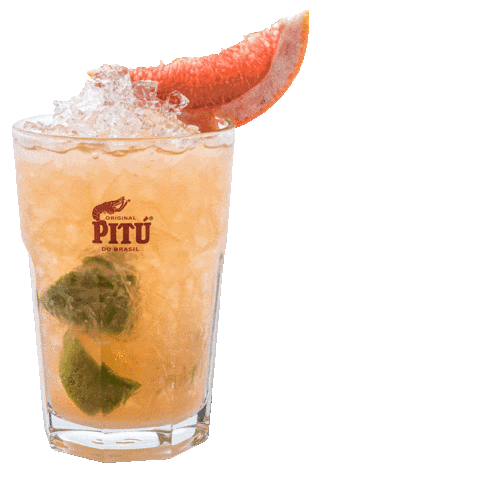 PITÚ Deutschland Sticker