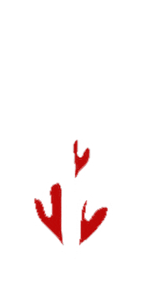 Nye Hearts Sticker