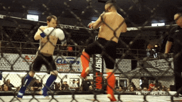 Fight Kicking GIF by New Line Cagefighting