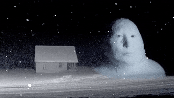 Snow Staring GIF