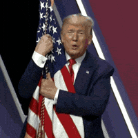 teamtrump-trump-donald-republican-UPm8BqL6igDUPZ29ik